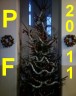 PF 2011